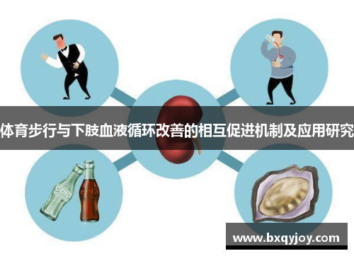 体育步行与下肢血液循环改善的相互促进机制及应用研究